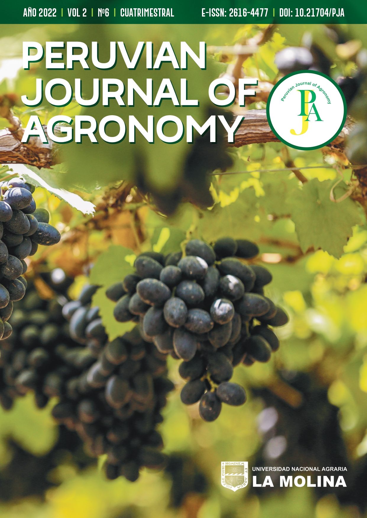 Scope The Peruvian Journal of Agronomy (e-ISSN: 2616-4477) is an international journal edited by the Universidad Nacional Agraria La Molina (UNALM). This journal publishes innovative and original research in the following areas of agricultural science: Entomology, Plant Pathology, Plant Breeding, Horticulture, and Soil science. This journal publishes in American English for university audience as well as the general scientific community. The objective of the journal is to disseminate the results of research conducted by Peruvian and foreign investigators, through scientific articles, which represent a contribution to the development of science and technology in our area. 