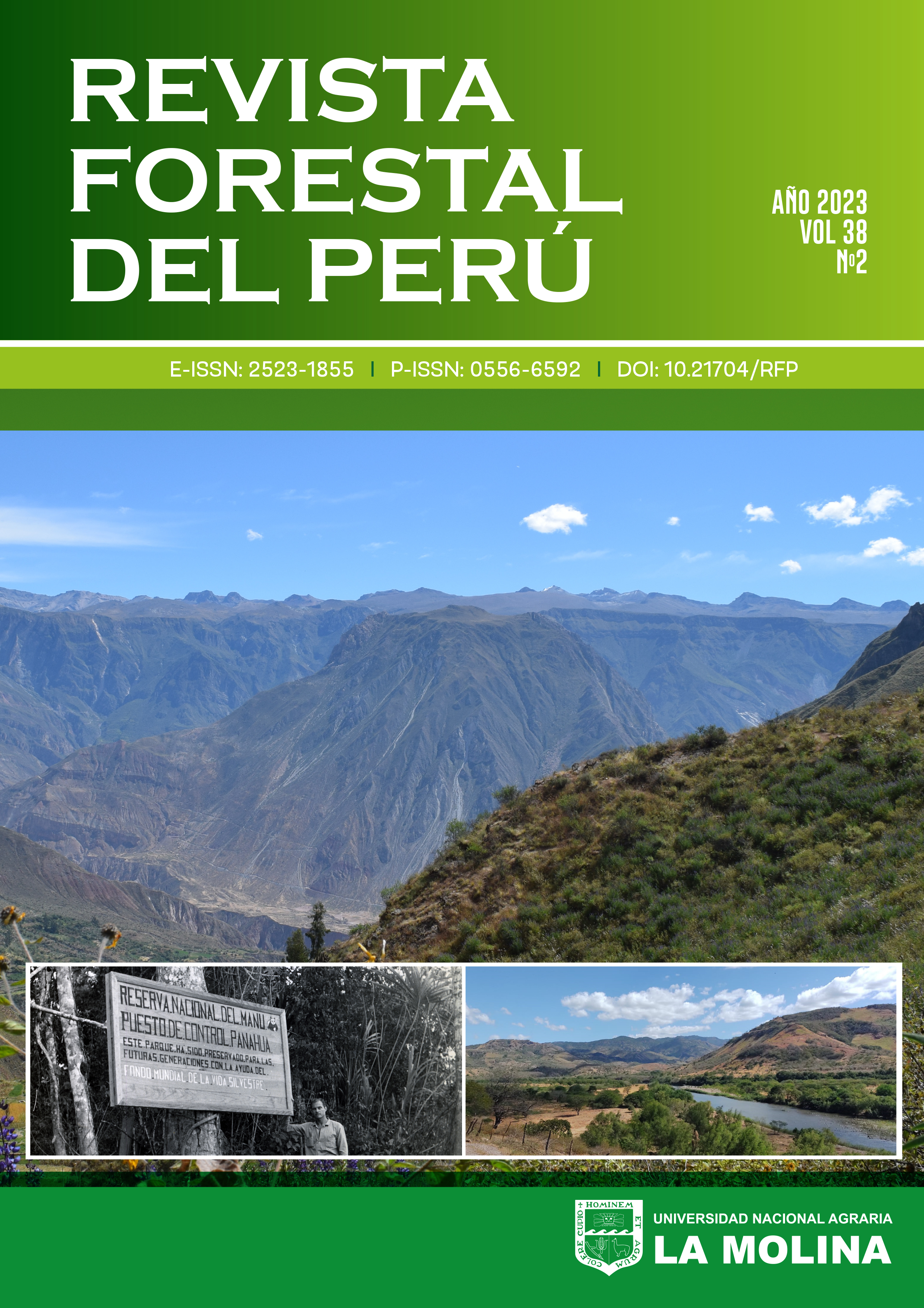 Revista Forestal del perú